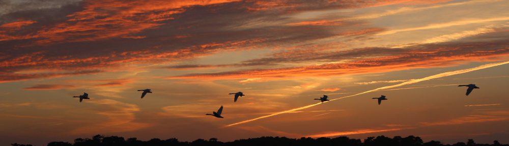 Imaginons Talmont autrement