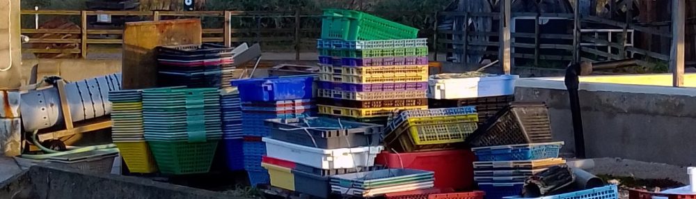 Imaginons Talmont autrement